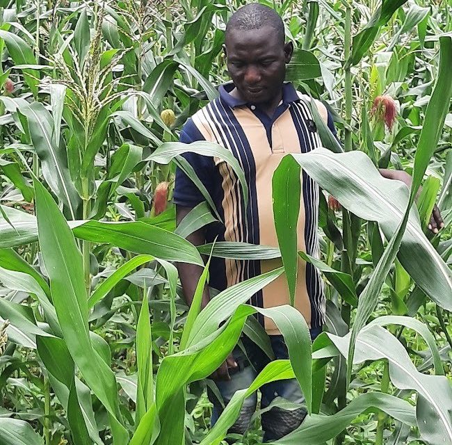l’agriculture,